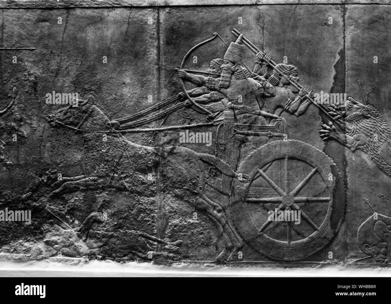 Re Ashurbanipal in un rilievo raffigurante un lion hunt - VII secolo a.c. , Ninive Foto Stock