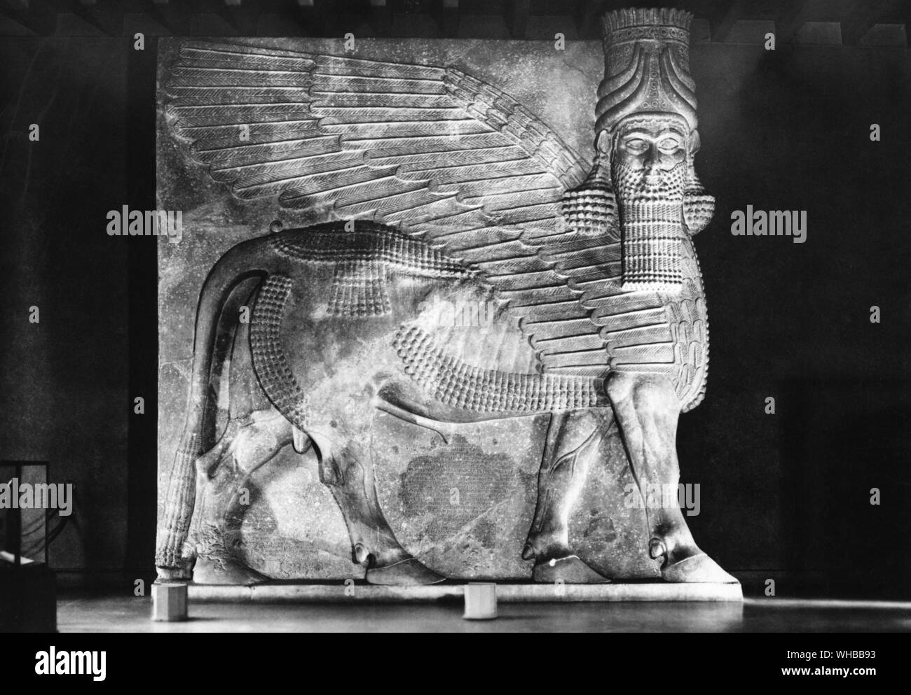 Testa umana bull da Khorsabad da Sargon II Palazzo del 722 A.C. Foto Stock