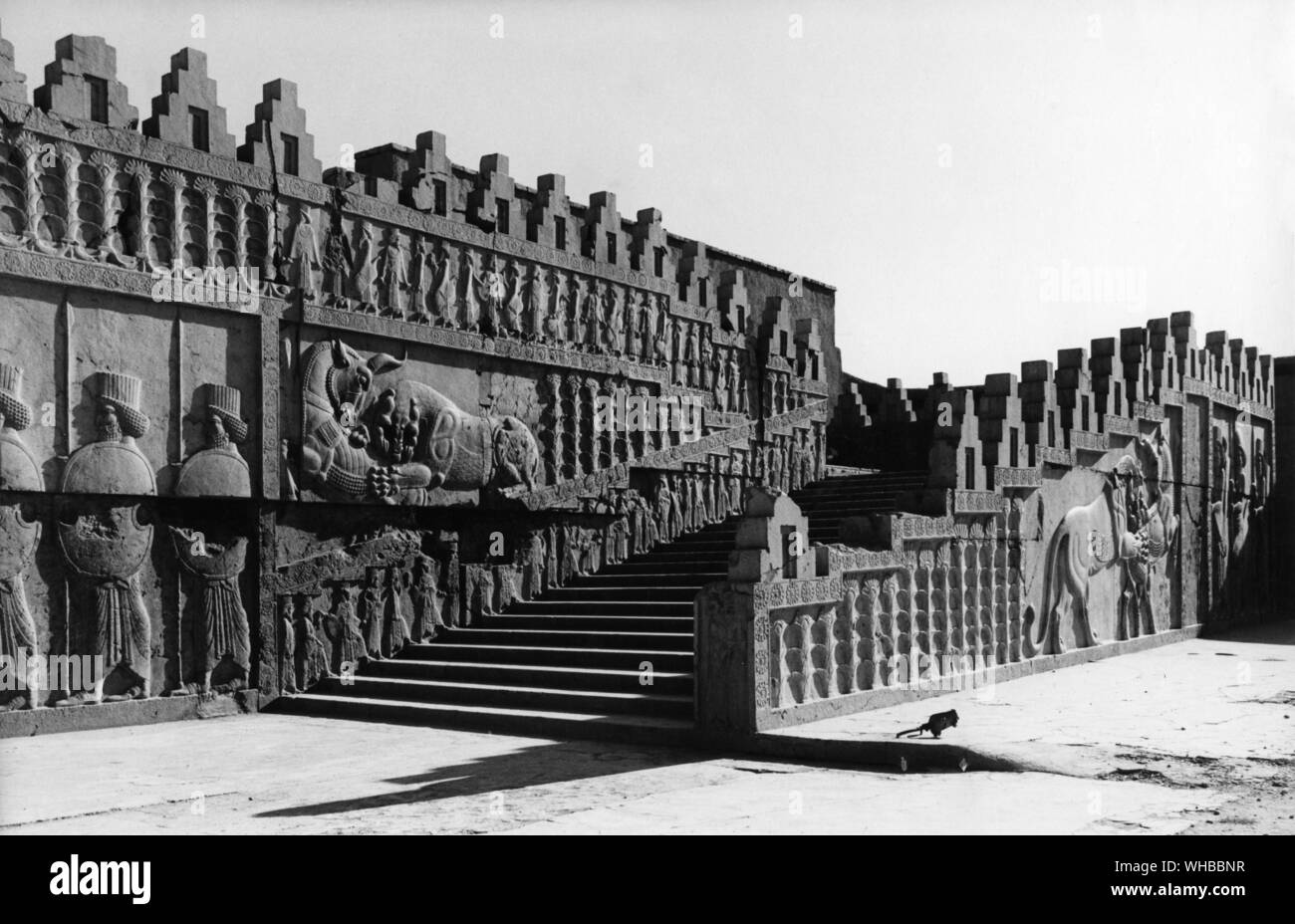 Palazzo Apadana , Persepolis : antica città di Persia , capitale dell' Impero Persiano , fondata da Dario . Vicino al moderno Shiraz , Iran . . Le pareti erano piastrellati e decorato con immagini di leoni , tori , e fiori Foto Stock