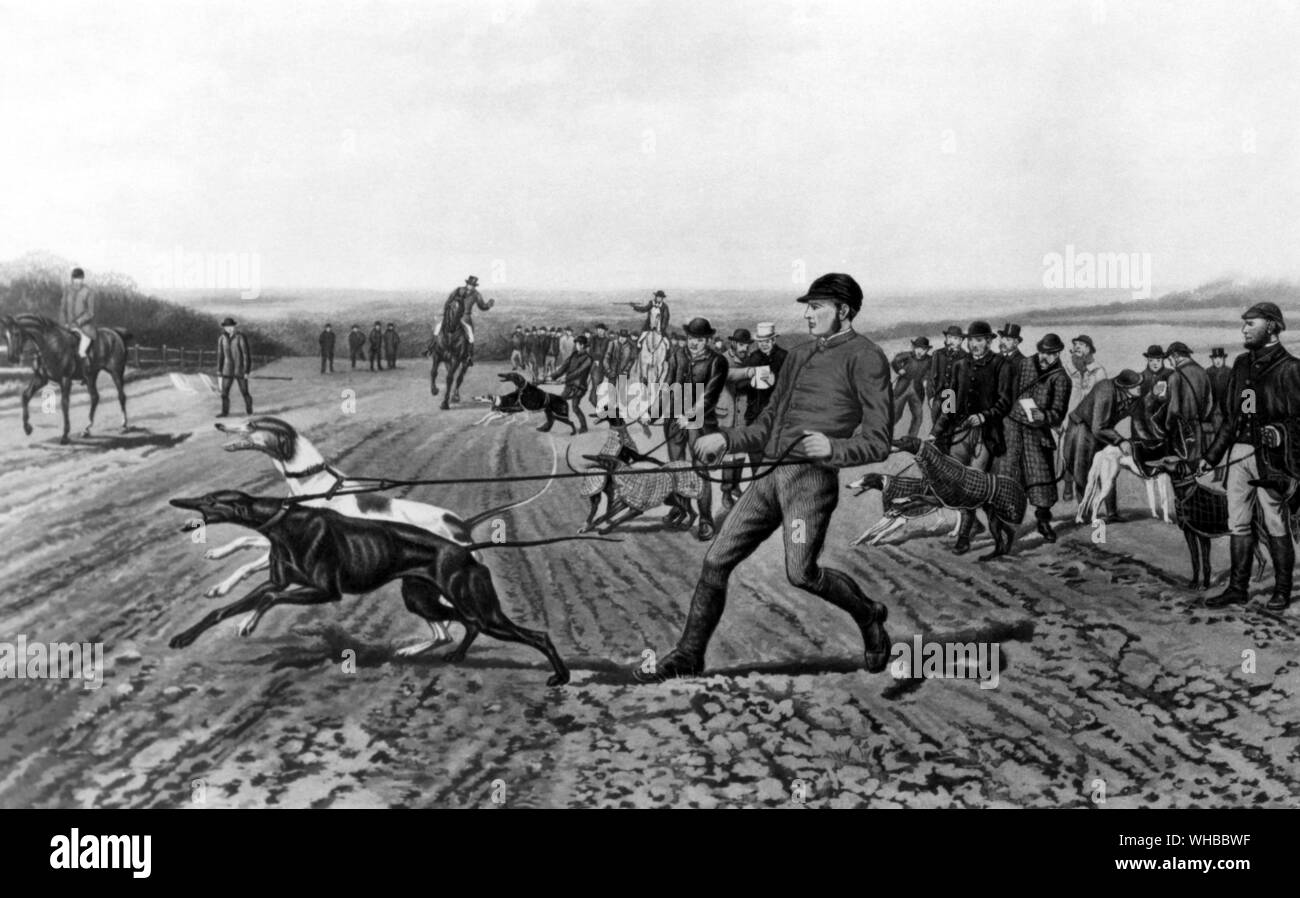 Dettaglio di un coursing impostato da EAS Douglas 1887 -. Coursing è uno dei più antichi del mondo sportivo sul campo Foto Stock
