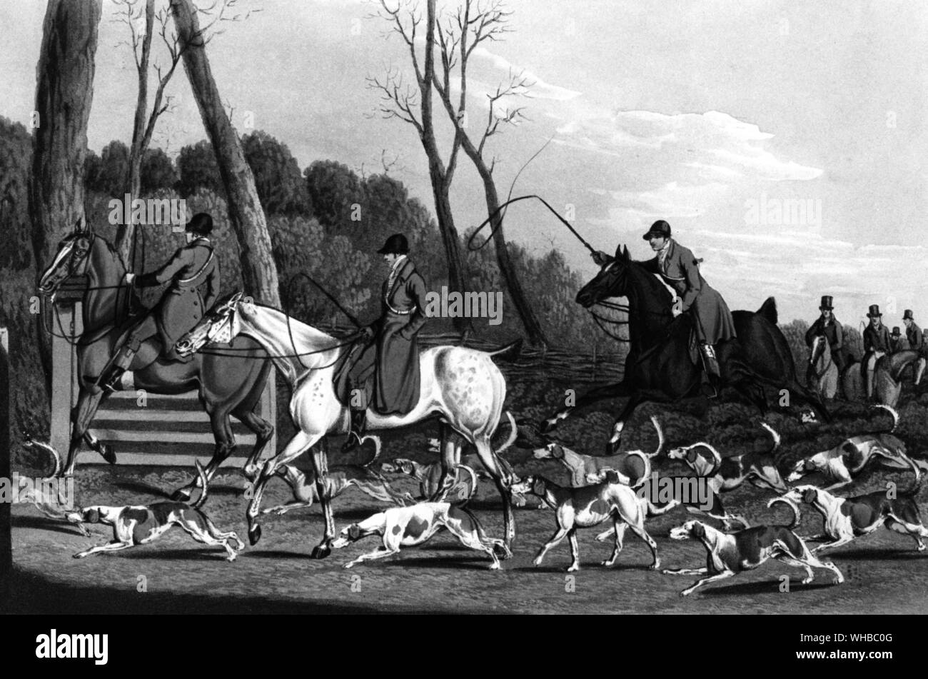 Scena di caccia immagini e fotografie stock ad alta risoluzione - Alamy