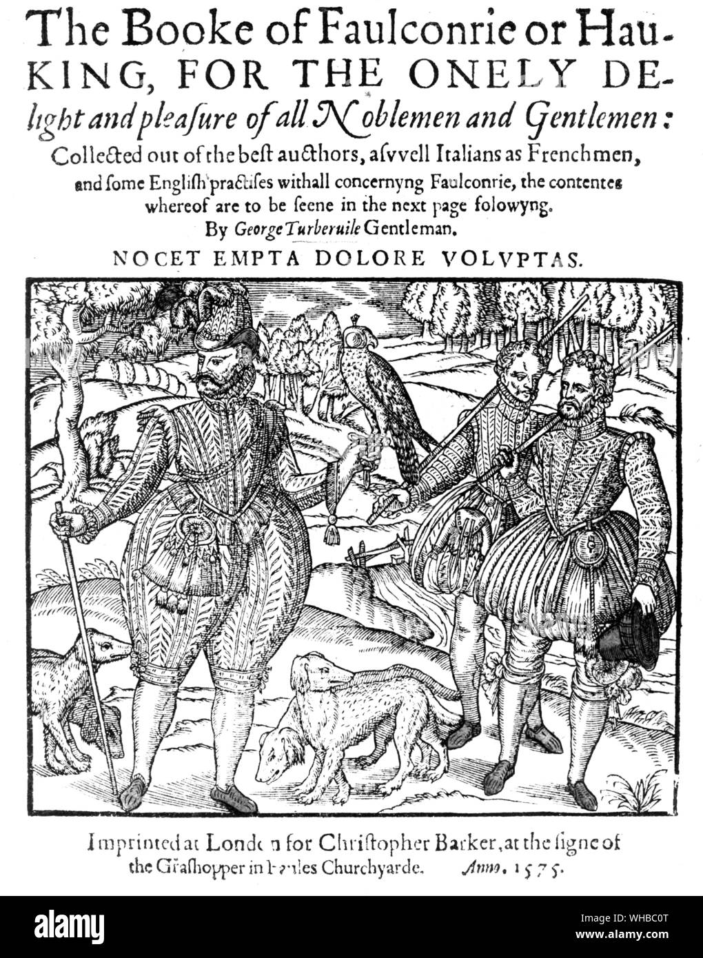 Dal Booke di Falconrie . George Tuberville ha pubblicato la prima edizione del suo libro nel regno della regina Elisabetta, 1575 . . Foto Stock