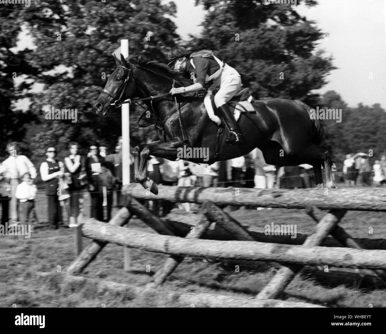 Princess Anne doppietto di equitazione oltre il salto chiamato la tigre Trap . Badminton Foto Stock
