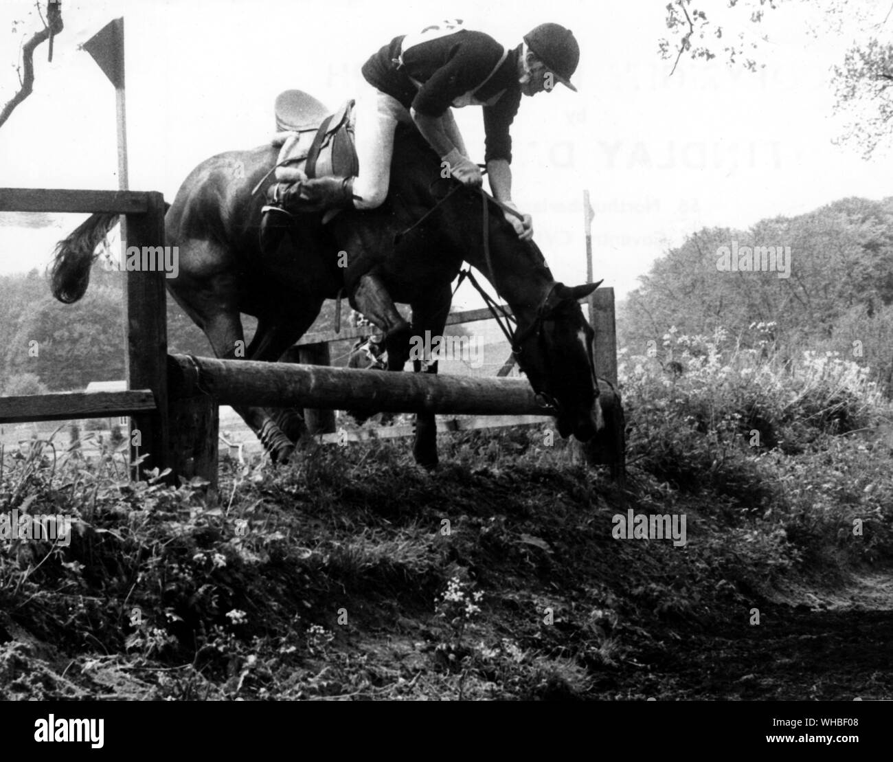 Come ottenere nei guai in un recinto è Contrassegno phillips equitazione sulla roccia al 1967 Tedworth Cross Country Course Foto Stock