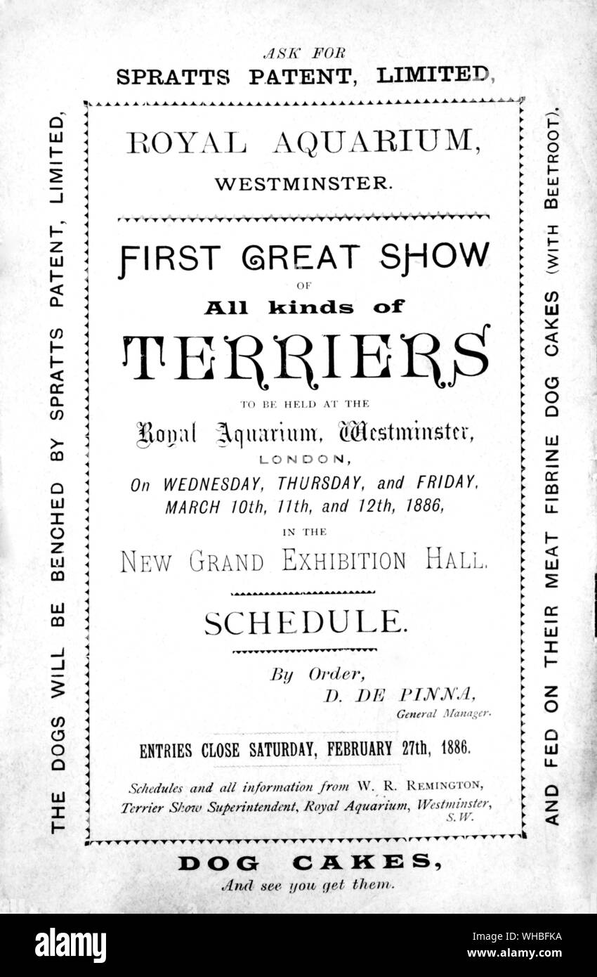 La prima grande mostra di tutti i tipi di terrier , Royal Acquario , Westminister , Londra 10 - 12 Marzo 1886 Foto Stock