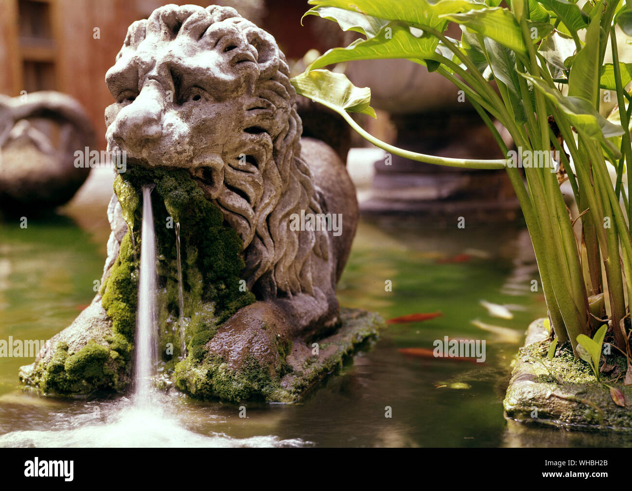 Dettaglio della fontana nel cortile dell' Istituto di Studi Biblici , Roma , Italy Foto Stock