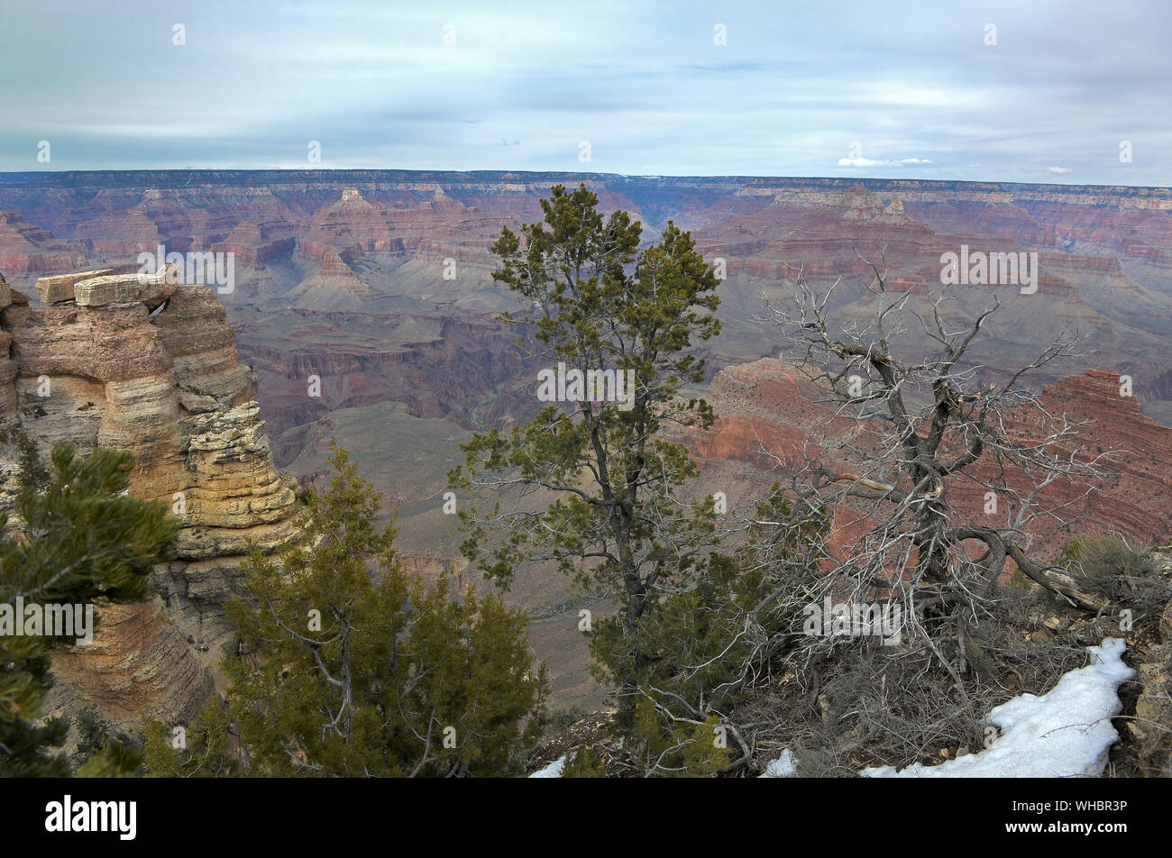 Grand Canyon vista panoramica con scogliere e alberi Foto Stock
