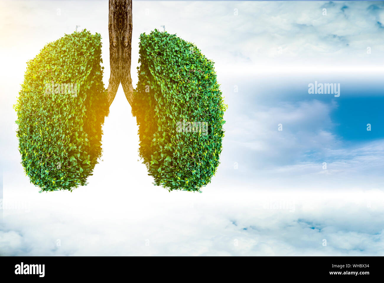 Polmone verde a forma di albero di immagini, concetti medici, autopsia, visualizzazione 3D e animali come un elemento Foto Stock