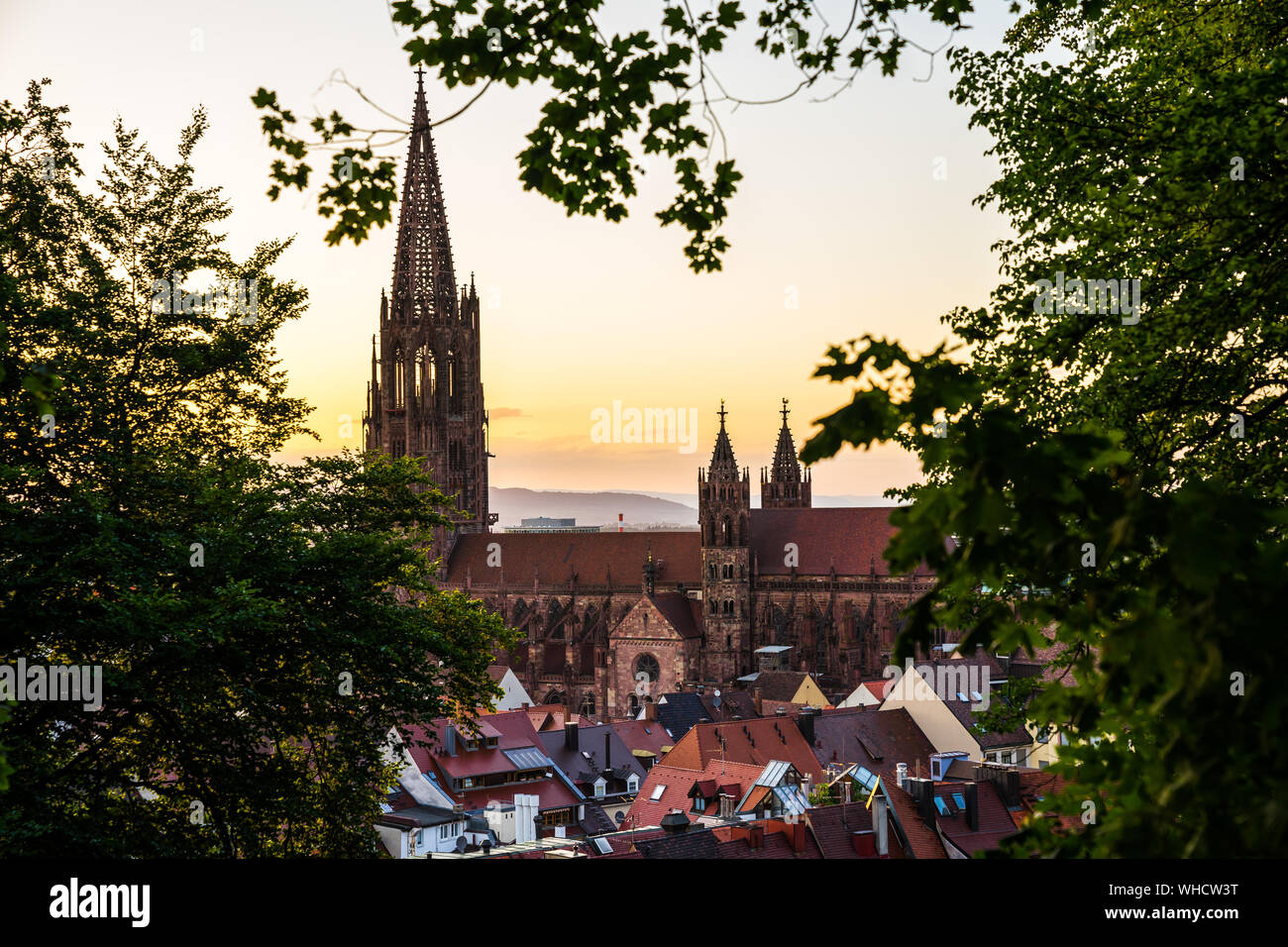 Germania, famoso e antico muenster o minster cattedrale edificio di architettura gotica visto attraverso il verde delle foglie di un albero sopra i tetti della città di Friburgo Foto Stock