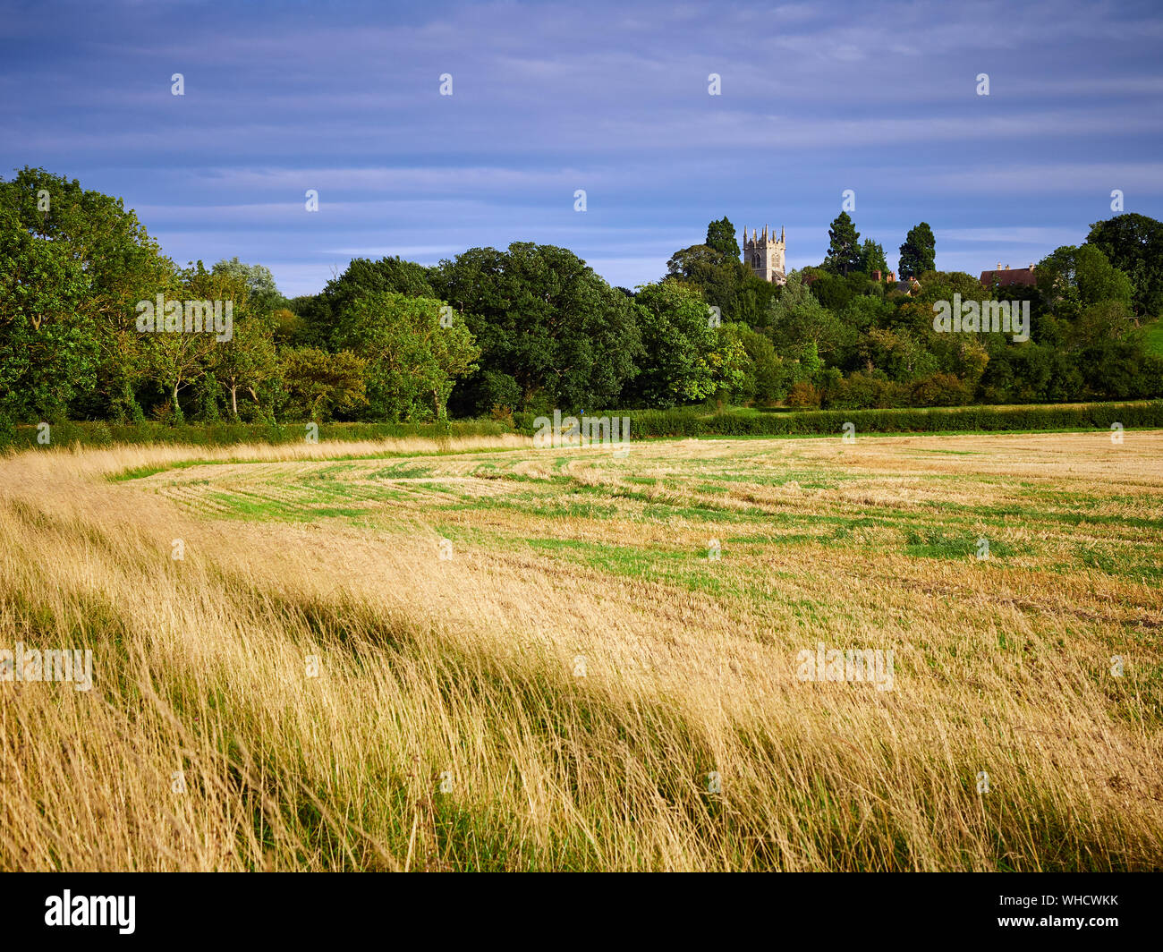 Guardando verso la trasformazione di Hough sulle colline Chiesa di tutti i santi attraverso i campi di stoppie da Brandon Road con un margine di campo in primo piano Foto Stock