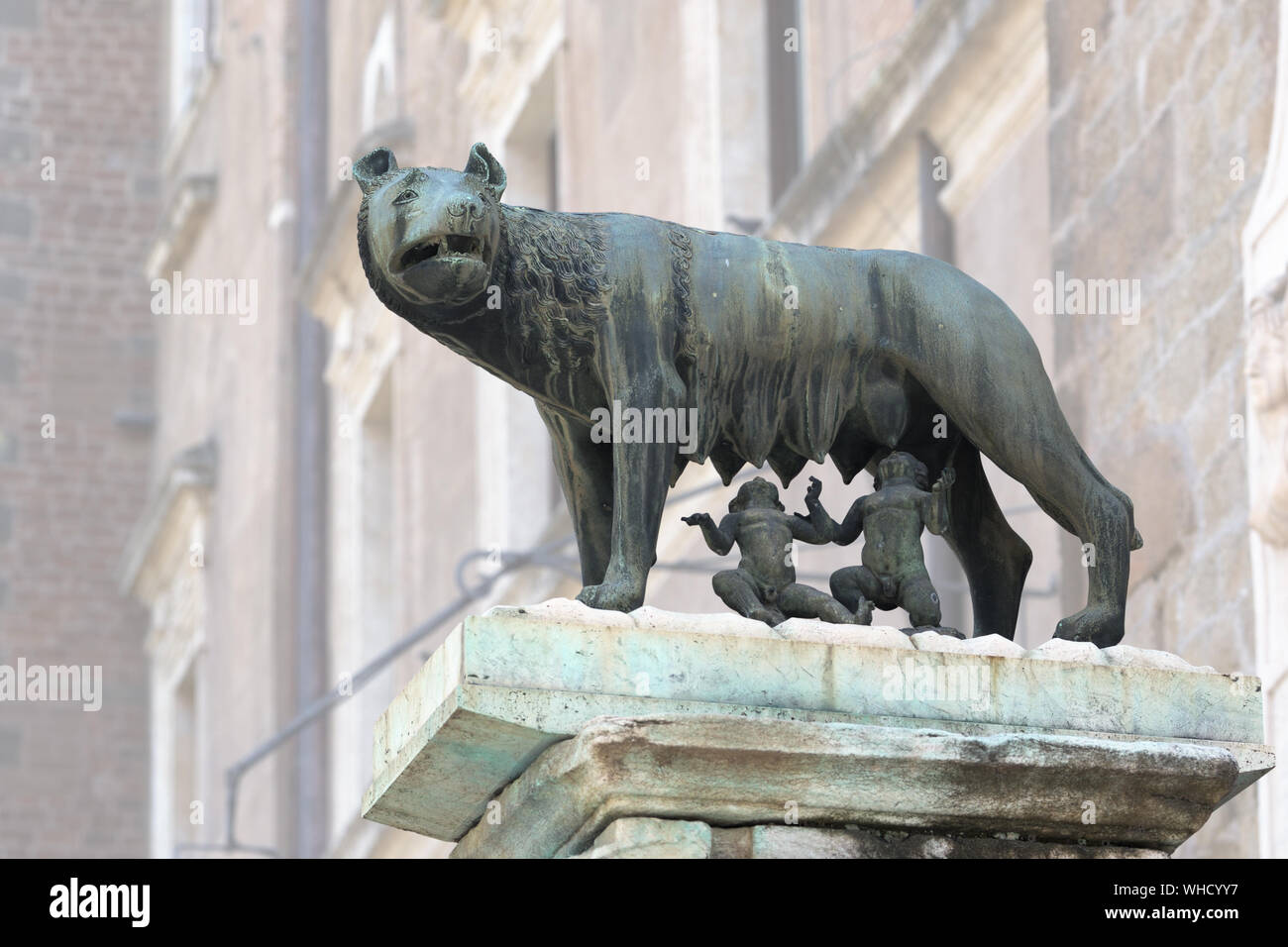 Statua di lupo capitolino sul Campidoglio, Roma, Italia Foto Stock