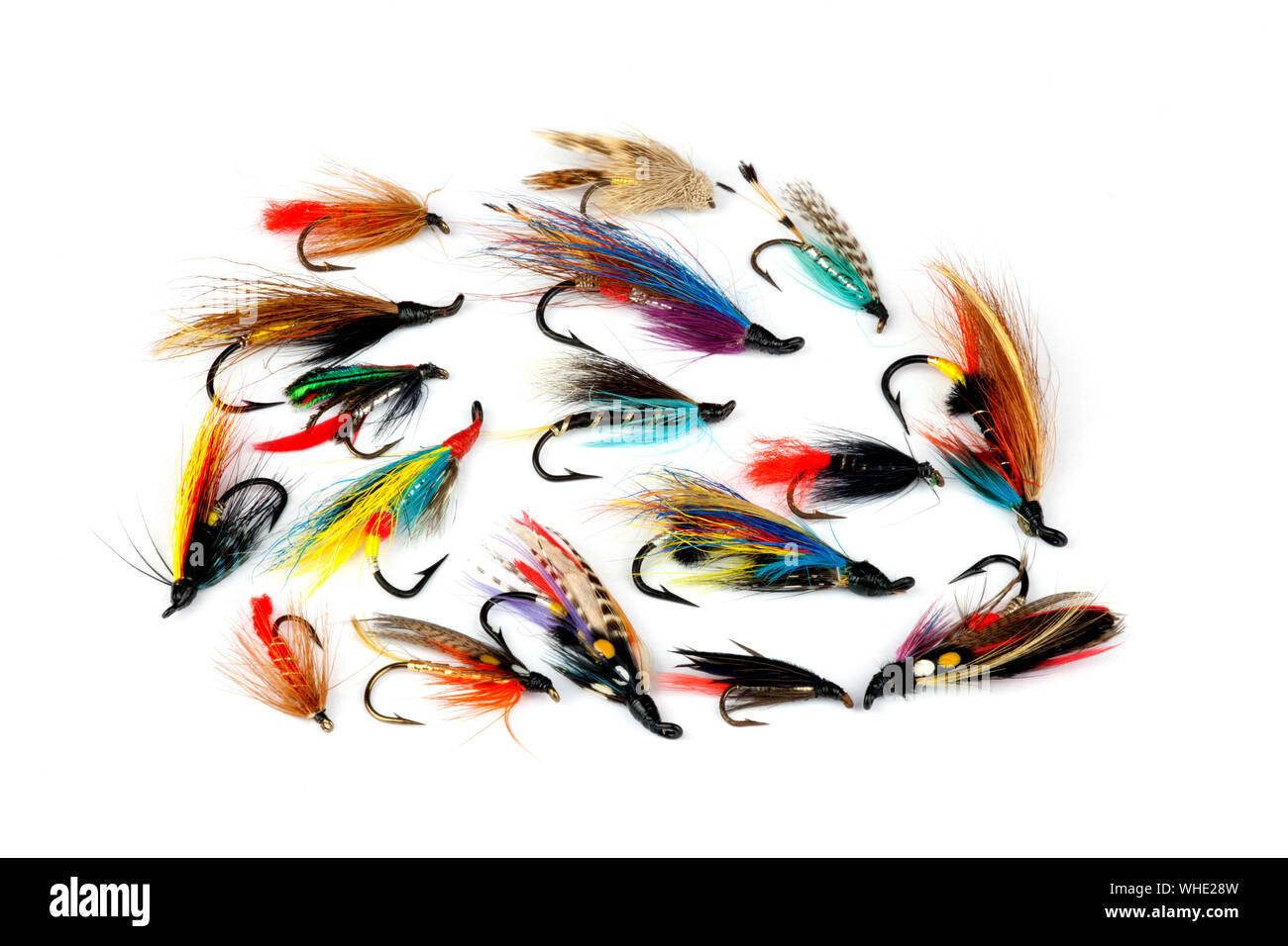 Una selezione di tradizionali a trote e salmoni mosche per la pesca isolato su uno sfondo bianco Foto Stock