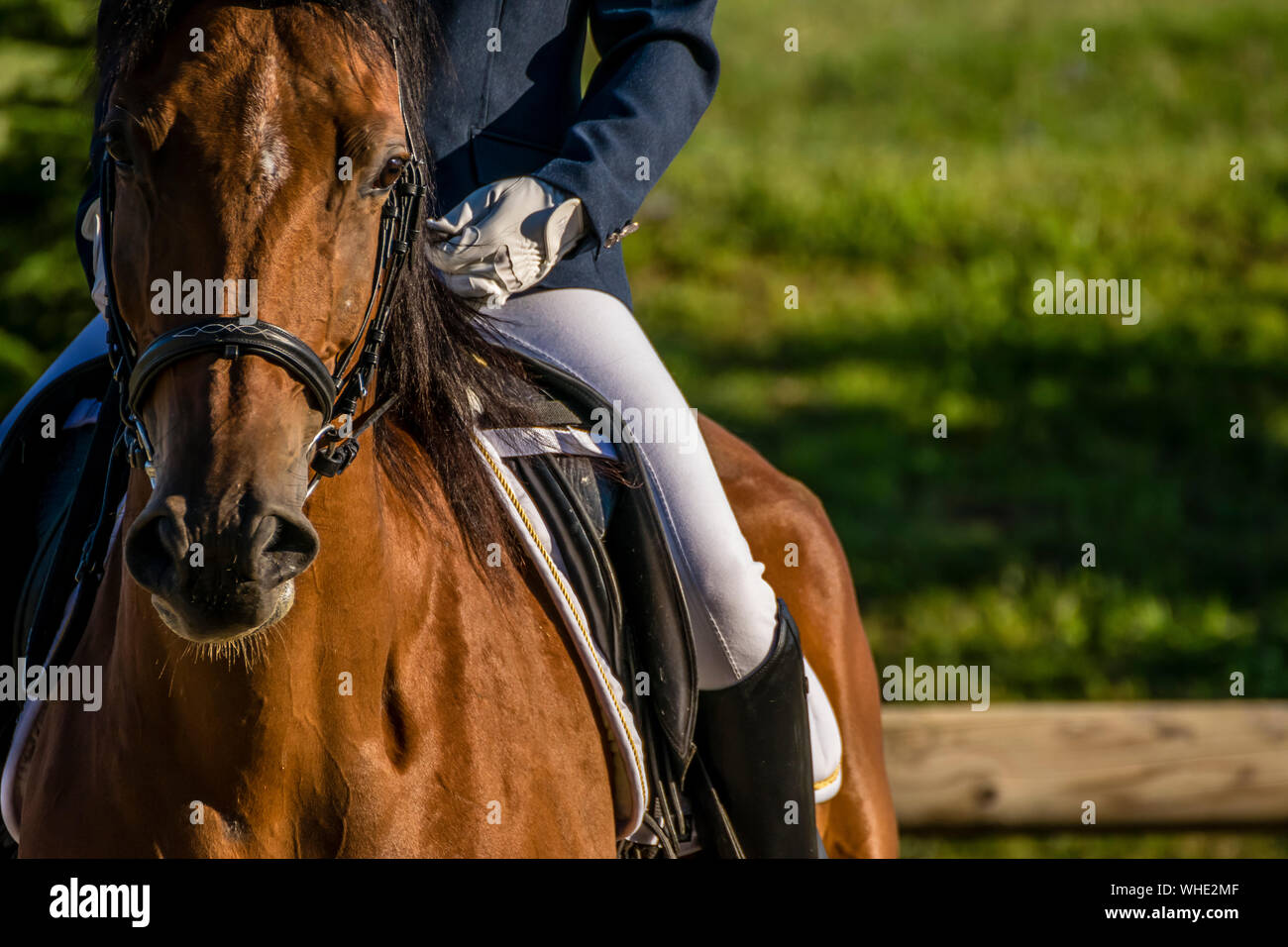 Close-up di una persona di equitazione Foto Stock