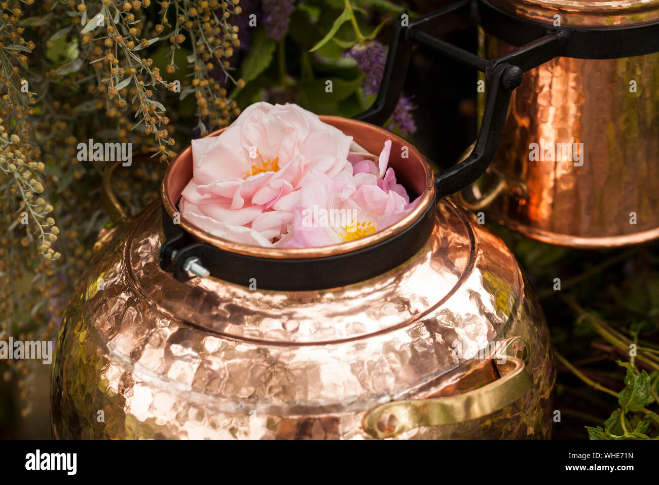 Alambicco è un apparecchio per distillazione di origine araba che può essere utilizzato per distillare oli essenziali e una varietà di bevande alcoliche. Foto Stock