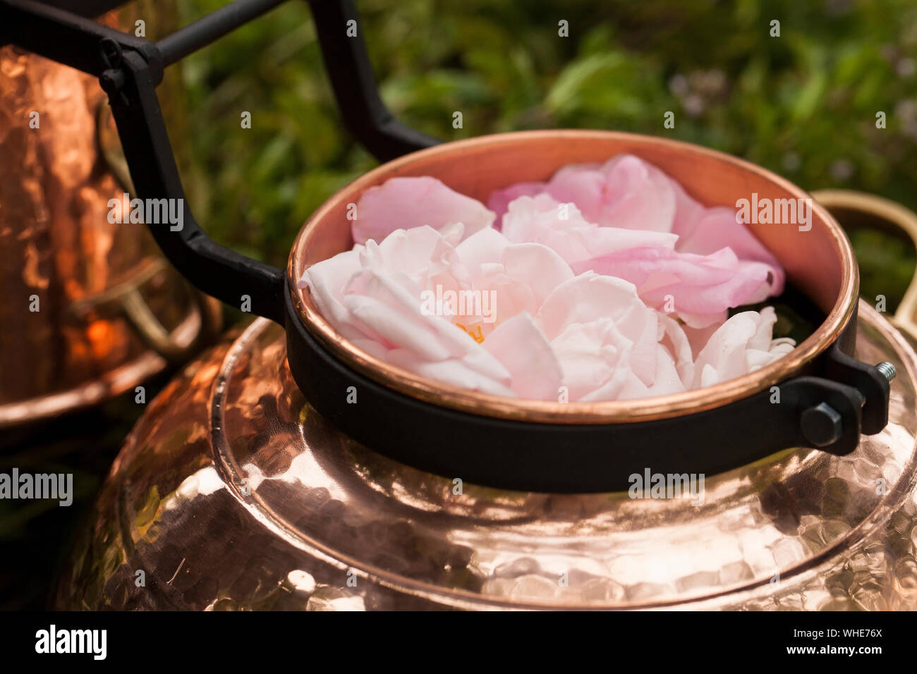 Alambicco è un apparecchio per distillazione di origine araba che può essere utilizzato per distillare oli essenziali e una varietà di bevande alcoliche. Foto Stock