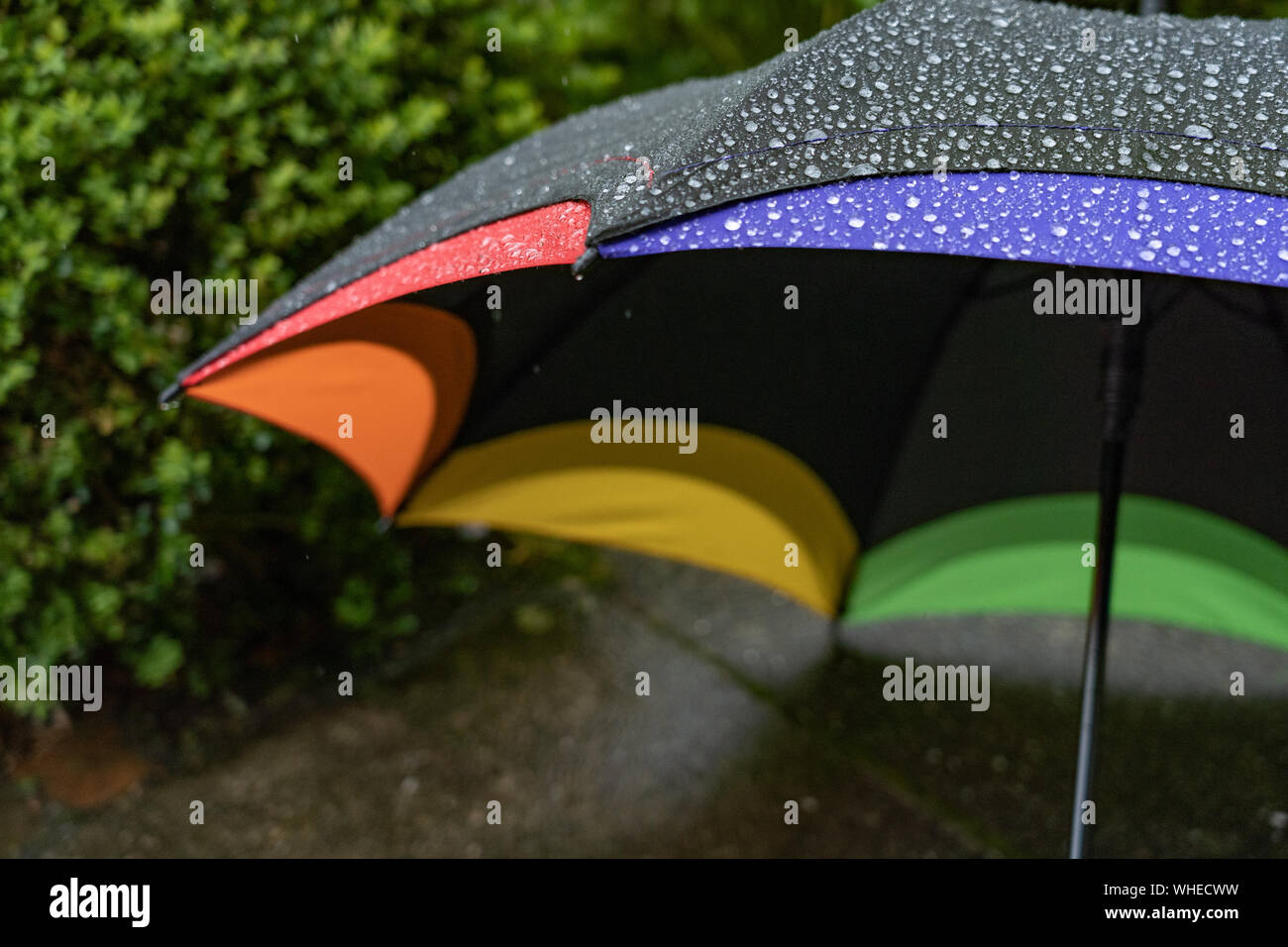 Ombrello con gocce di pioggia sulla parte superiore giacente sul pavimento bagnato in primavera. Foto Stock