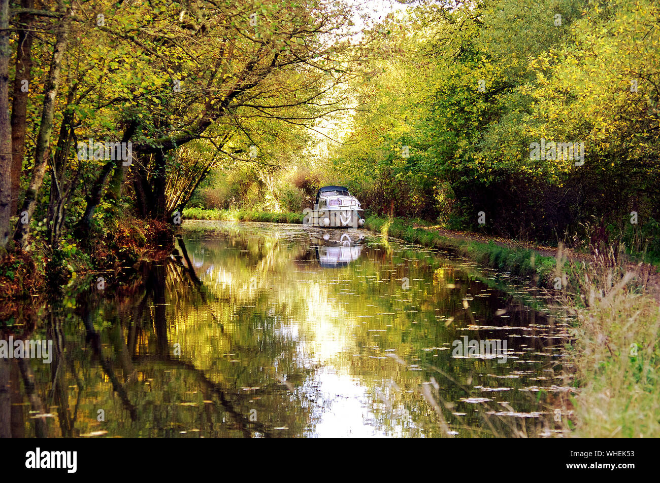 Barca ormeggiata su Caldon canal in autunno Foto Stock