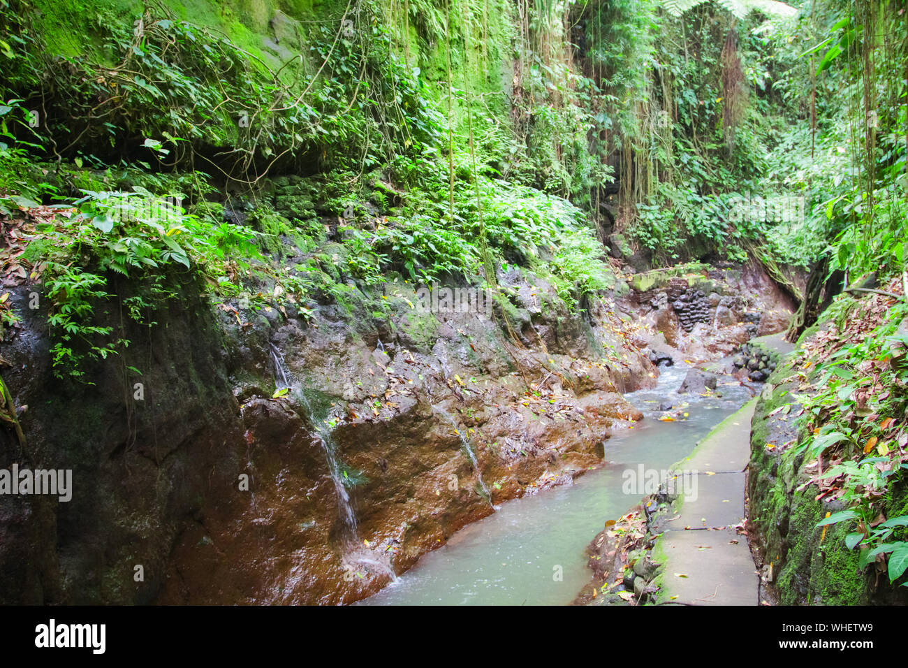 Monkey Forest è il santuario di stile Balinese lunga coda di scimmia nella città di Ubud, isola di Bali in Indonesia Foto Stock