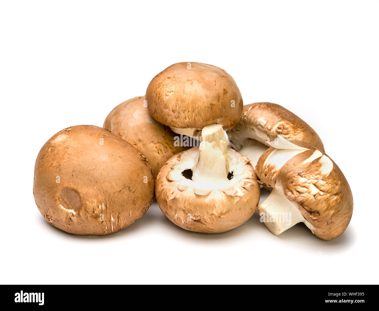 Close-up di materie e non trattate gli champignon issolated su sfondo bianco e la messa a fuoco sul primo piano. Foto Stock