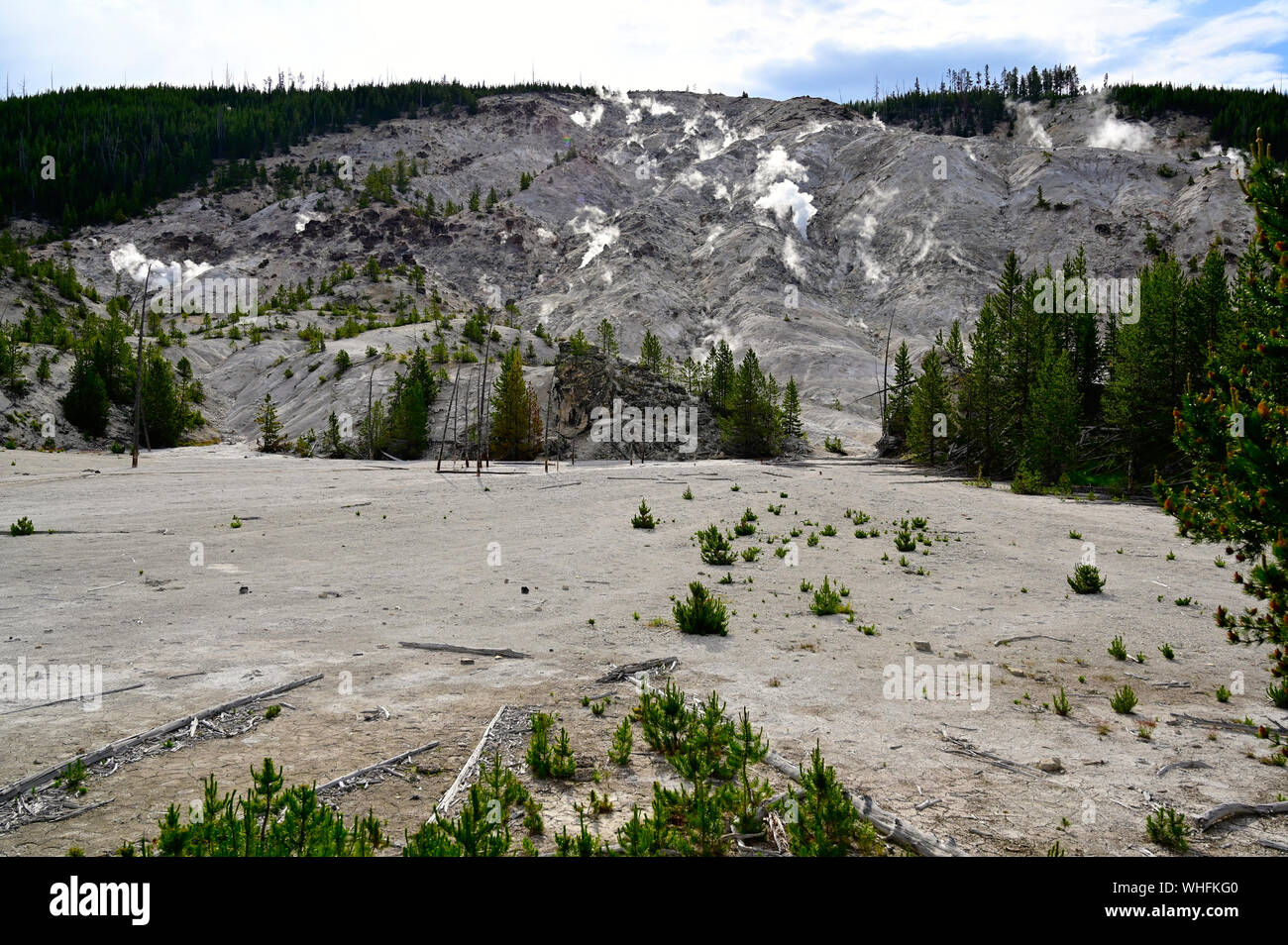 Yellowstone Foto Stock