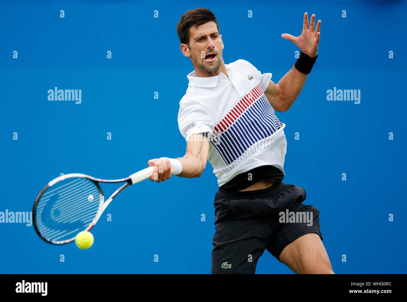 Aegon International 2017, Eastbourne Inghilterra - Novak Djokovic di Serbia a giocare una mano sola diretti contro Vasek Pospisil martedì 27 giugno. Pho Foto Stock