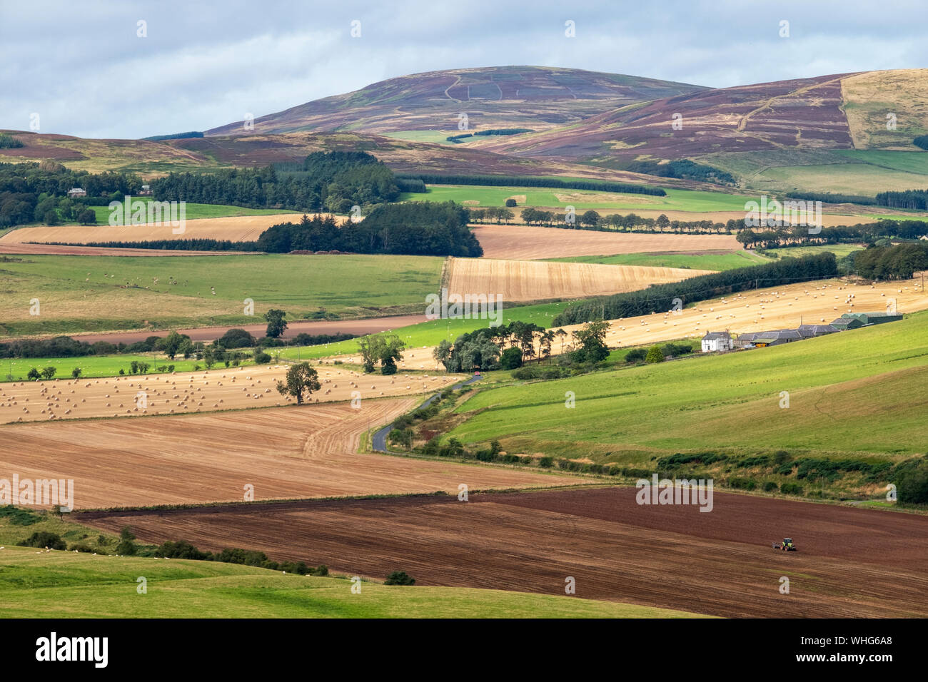 Vista di terreni agricoli vicino Longformacus, Berwickshire, Scottish Borders. Foto Stock