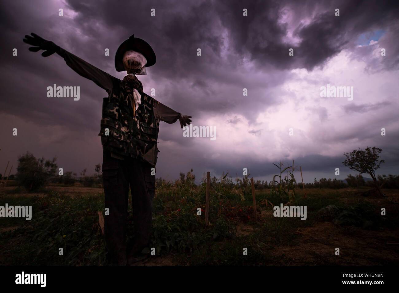 Lo Spaventapasseri in un campo con le tempeste e moody sky al crepuscolo. Orrore o halloween sfondo o sfondo. Copia spazio sulla destra. Foto Stock