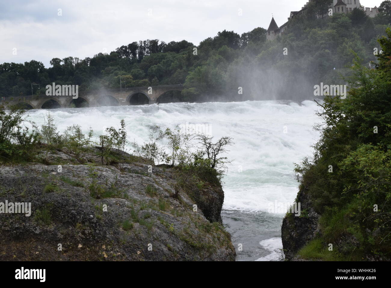 Rhinefalls Svizzera la più grande comunità di cascate, situato sul confine svizzero-tedesco Foto Stock