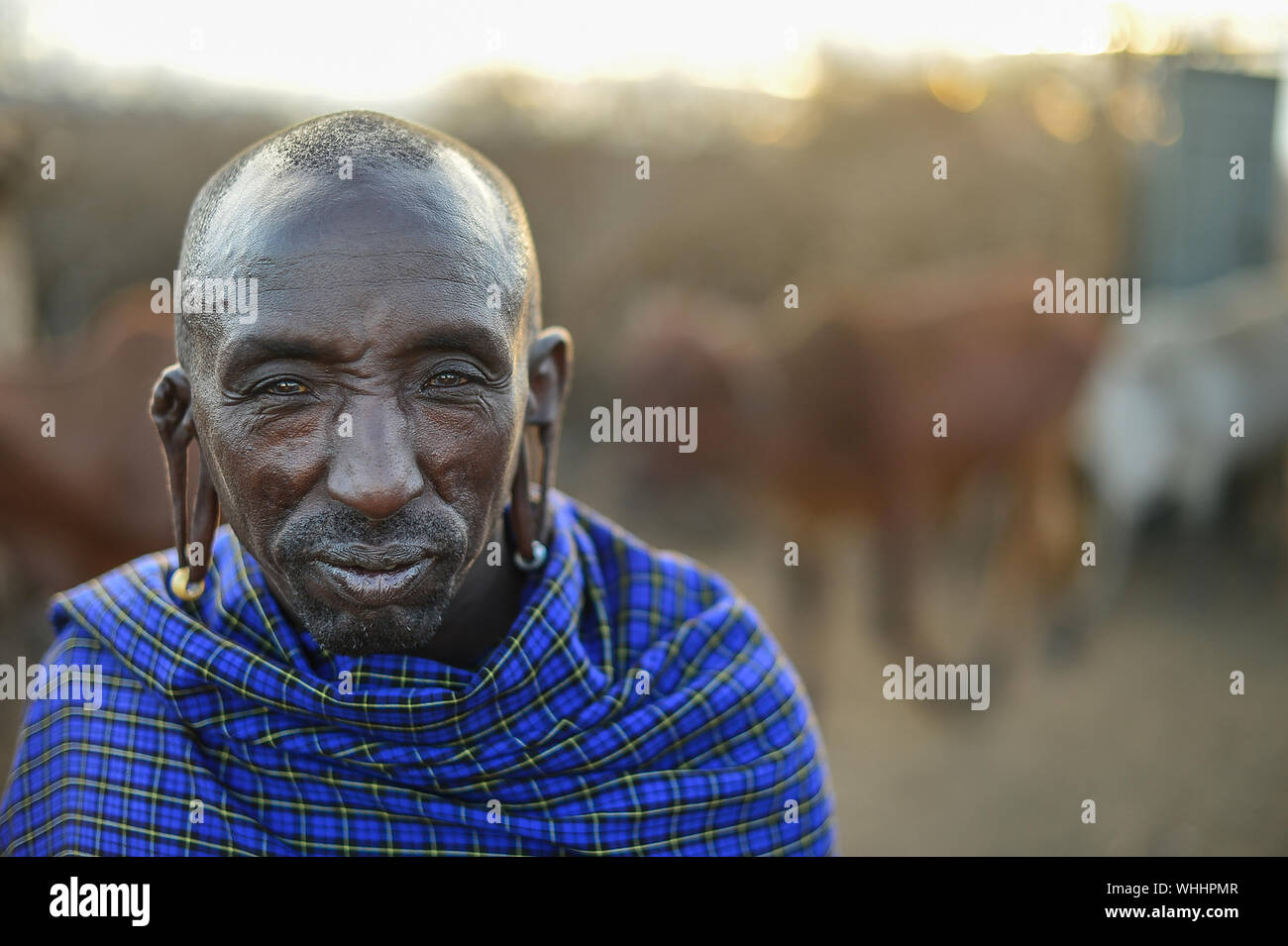 Tribù Masai persone, Amboseli National Park, Kenya, Africa Foto Stock