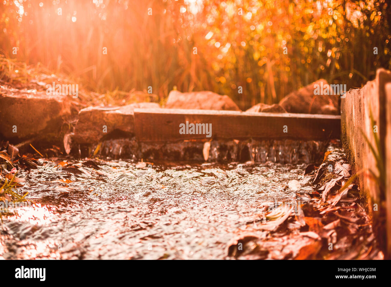 Raggio di sole illumina piccolo fiume vicino alla foresta in ottobre.intorno è asciutto erba e foglie cadute,,pietre,serbatoio con una piccola cascata e thresho Foto Stock