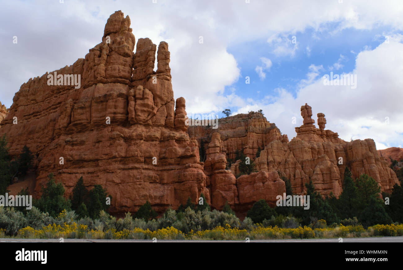 Parco Nazionale del Grand Canyon North Rim, STATI UNITI D'AMERICA. Parco Nazionale del Grand Canyon è uno del mondo di meraviglie naturali. Foto Stock