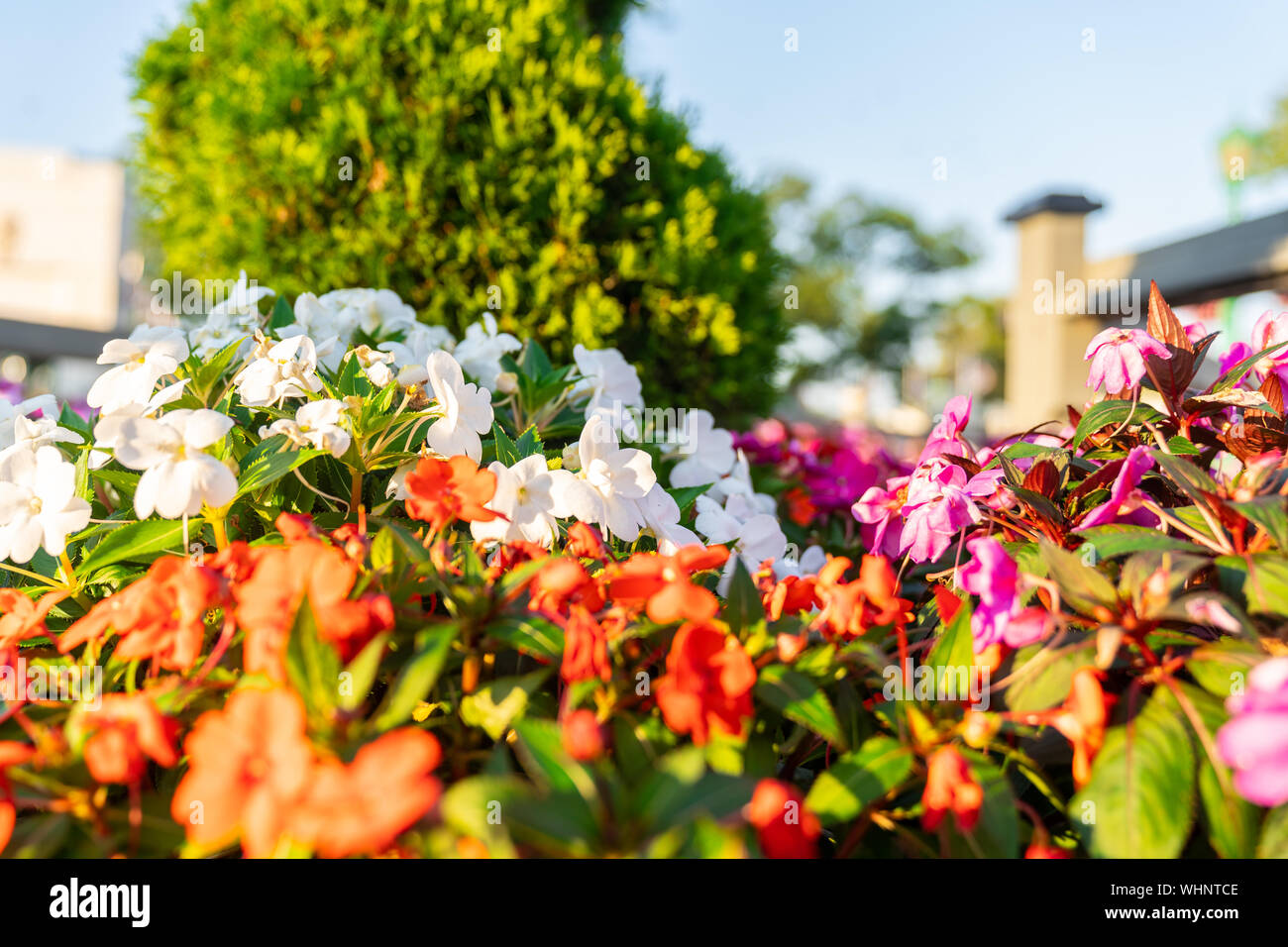 Giardino floreale da Rye New York. Foto Stock