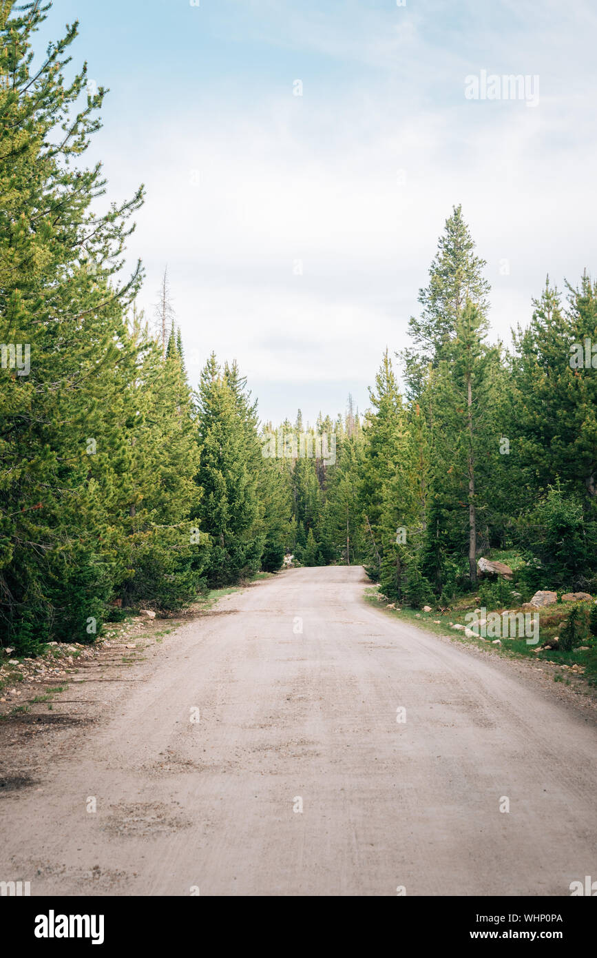 Strada sterrata in Uinta National Forest, Utah Foto Stock