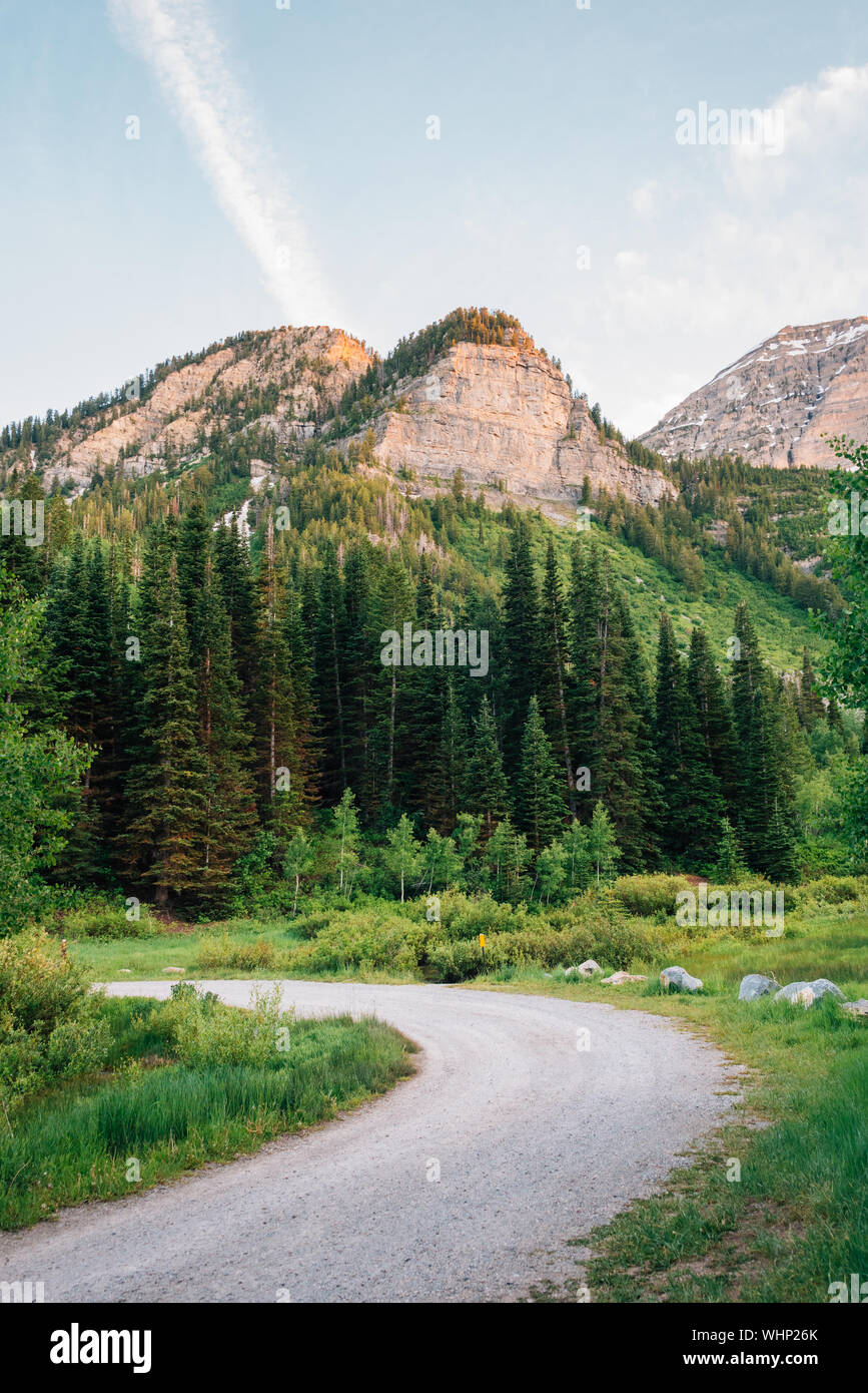 Strada sterrata e montagne vicino al loop di Alpine Scenic Highway, nelle Montagne Wasatch, Utah Foto Stock