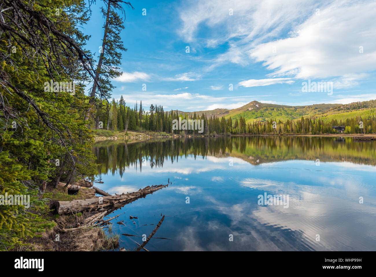Le riflessioni di montagna al lago d'argento, in Uinta-Wasatch-Cache National Forest, in Brighton, vicino a Park City, Utah Foto Stock