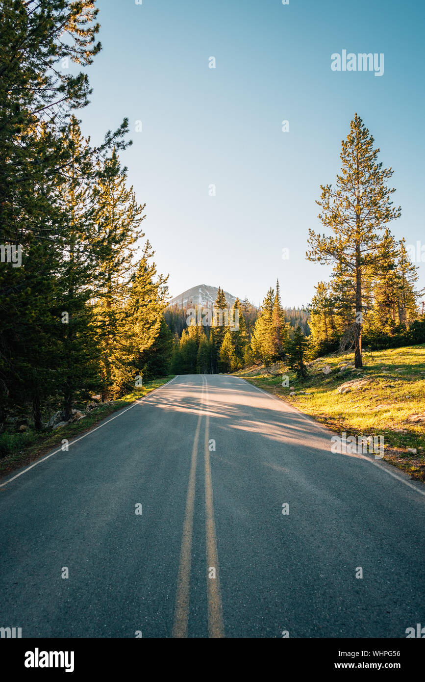 La molla Canyon Road, in Uinta-Wasatch-Cache National Forest, Utah Foto Stock
