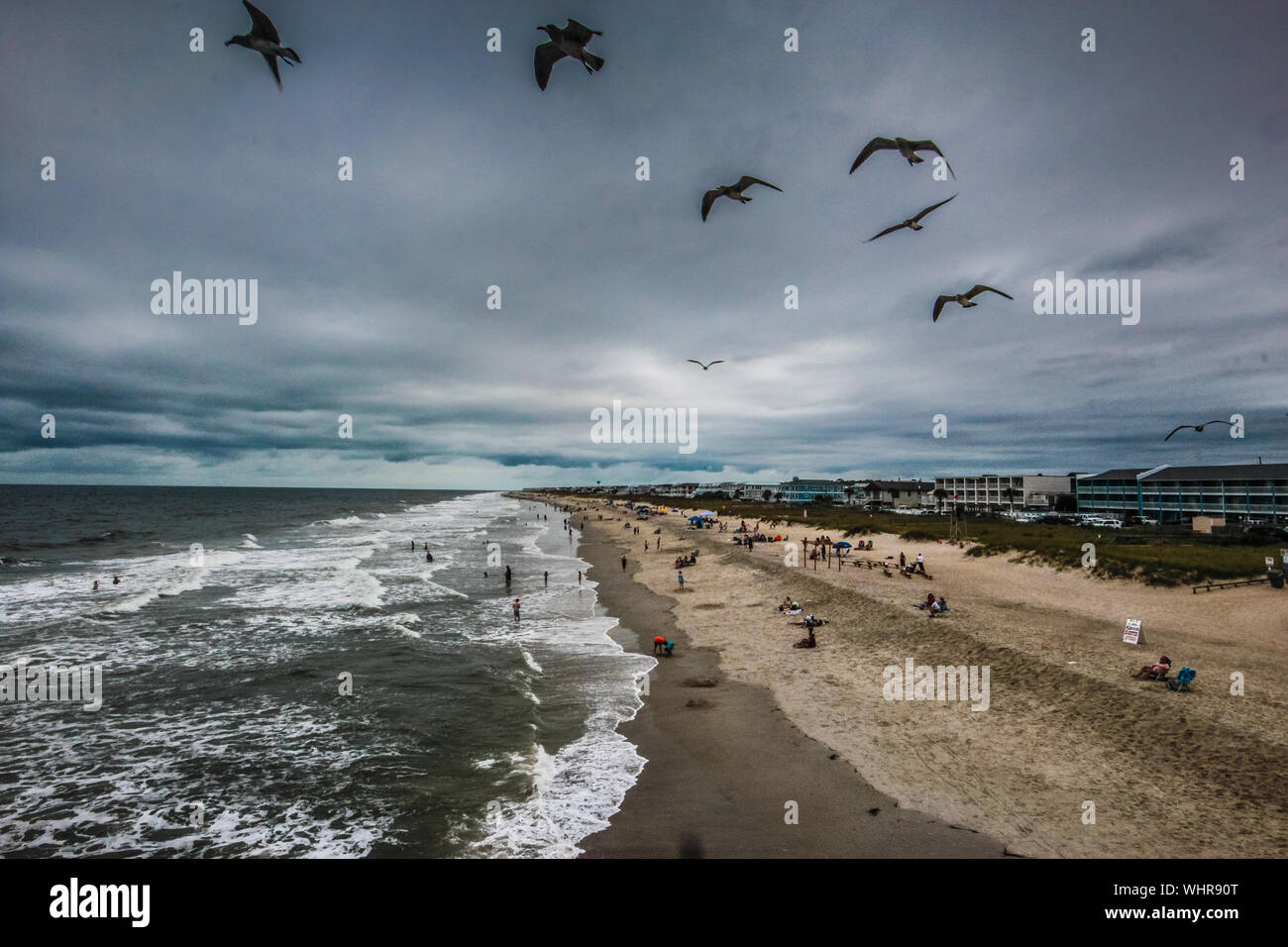 Stormo di gabbiani sorvolano il turbolento acqua a Kure Beach in North Carolina, USA. Foto Stock