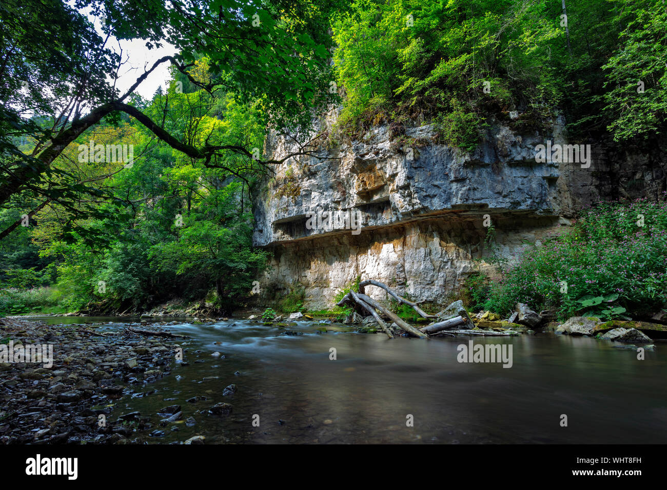 Parete del Muschelkalk, shellbearing roccia calcarea lungo il fiume Wutach in Wutach Gorge Riserva Naturale della Foresta Nera, Baden-Württemberg, Germania Foto Stock