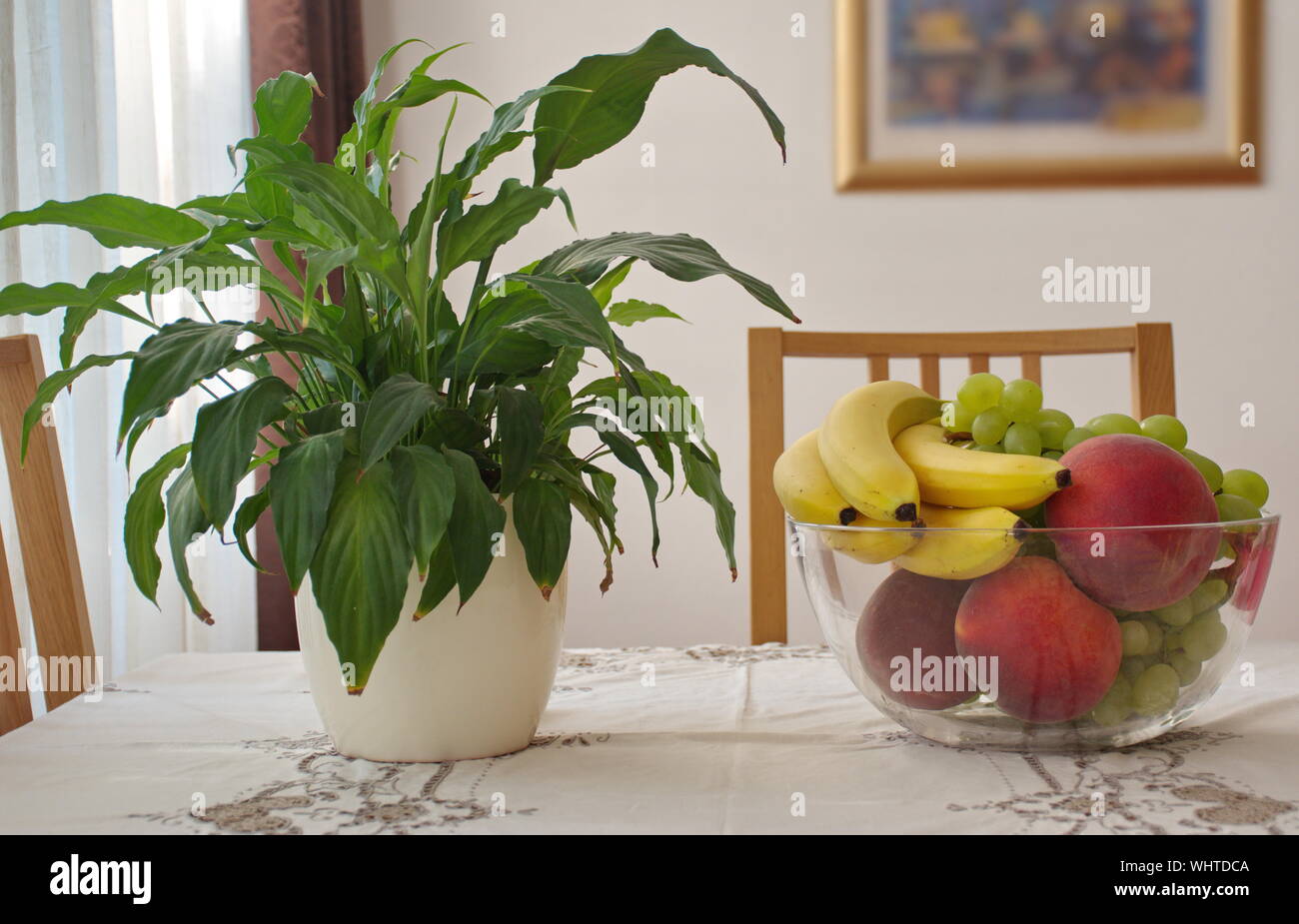 Vasi di piante e frutti colorati in una ciotola sul tavolo in una stanza Foto Stock