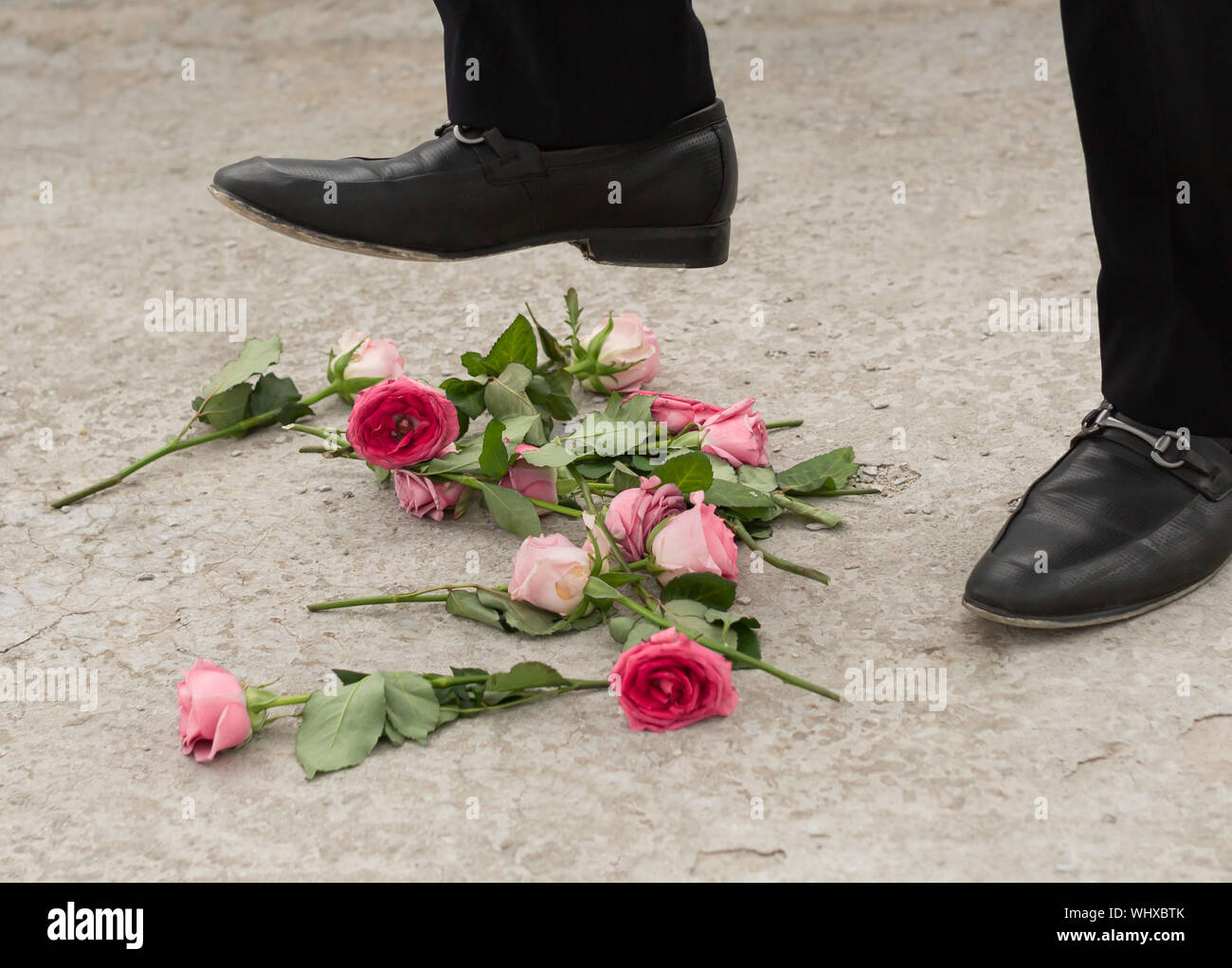 Close up di rose essendo stomped su, tema Heartbreak Foto Stock