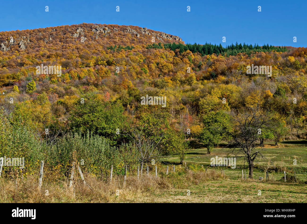 Incredibile vista autunnale di glade, collina, foresta con alberi decidui vicino al grazioso villaggio Zhrebichko, Bratsigovo comune, montagne Rodopi, Bulga Foto Stock