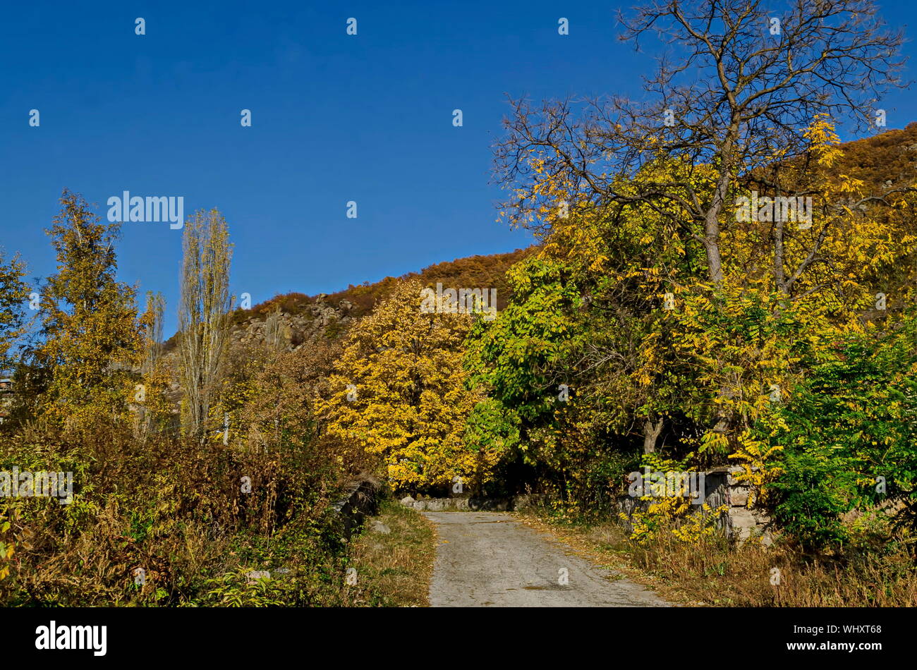 Incredibile vista autunnale di glade, collina, foresta con alberi decidui e road vicino al grazioso villaggio Zhrebichko, Bratsigovo comune, sui monti Rodopi Foto Stock