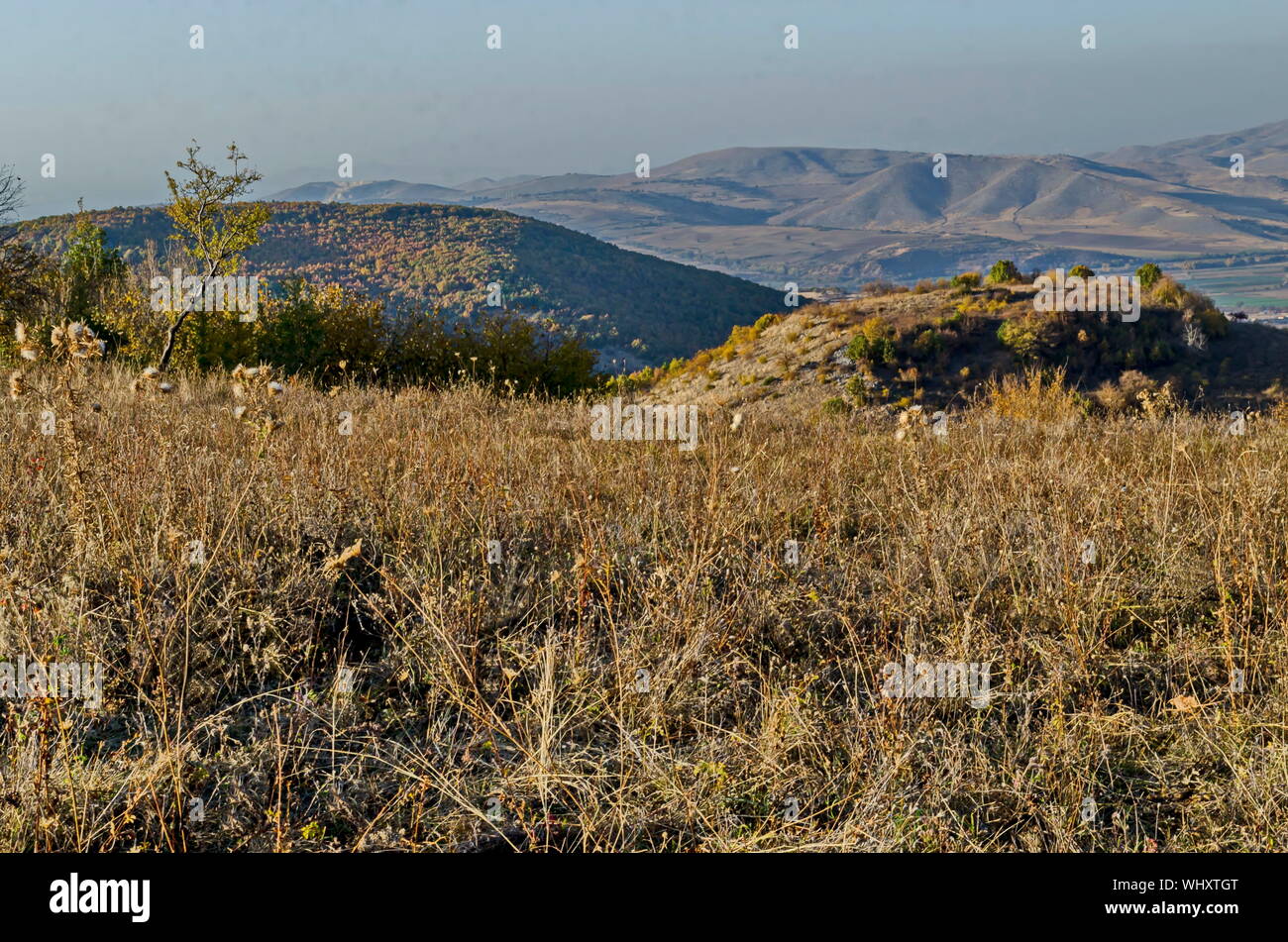 Incredibile vista autunnale di glade, collina, foresta con alberi decidui vicino al grazioso villaggio Zhrebichko, Bratsigovo comune, montagne Rodopi, Bulga Foto Stock