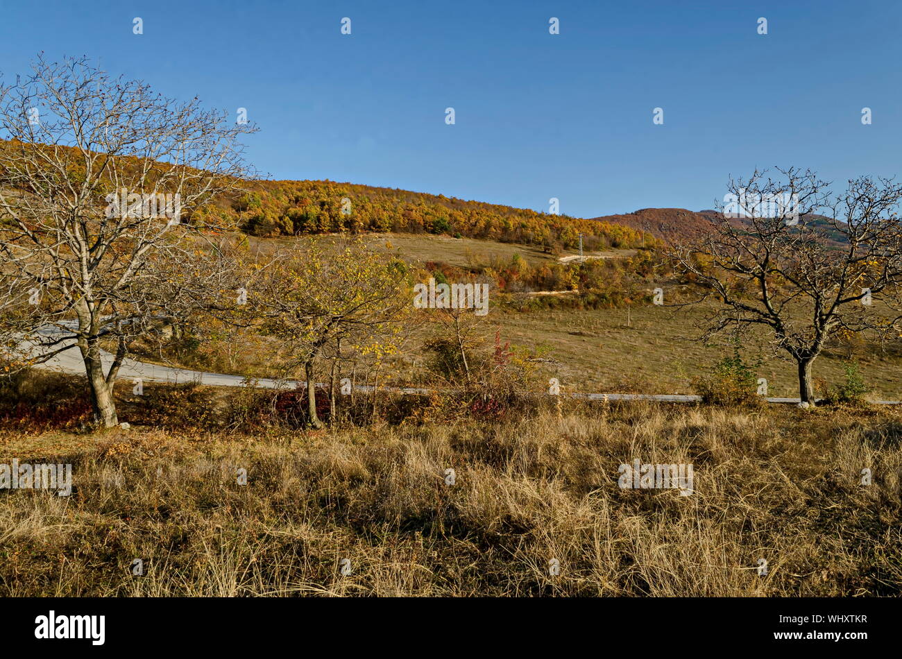 Incredibile vista autunnale di glade, collina, foresta con alberi decidui e road vicino al grazioso villaggio Zhrebichko, Bratsigovo comune, sui monti Rodopi Foto Stock