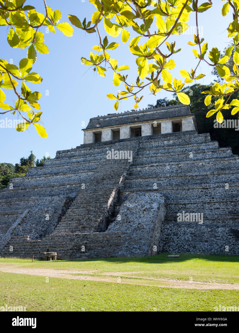 Rovine maya di Tempio di iscrizioni, Zona archeologica di Palenque, Chiapas, Messico. Foto Stock