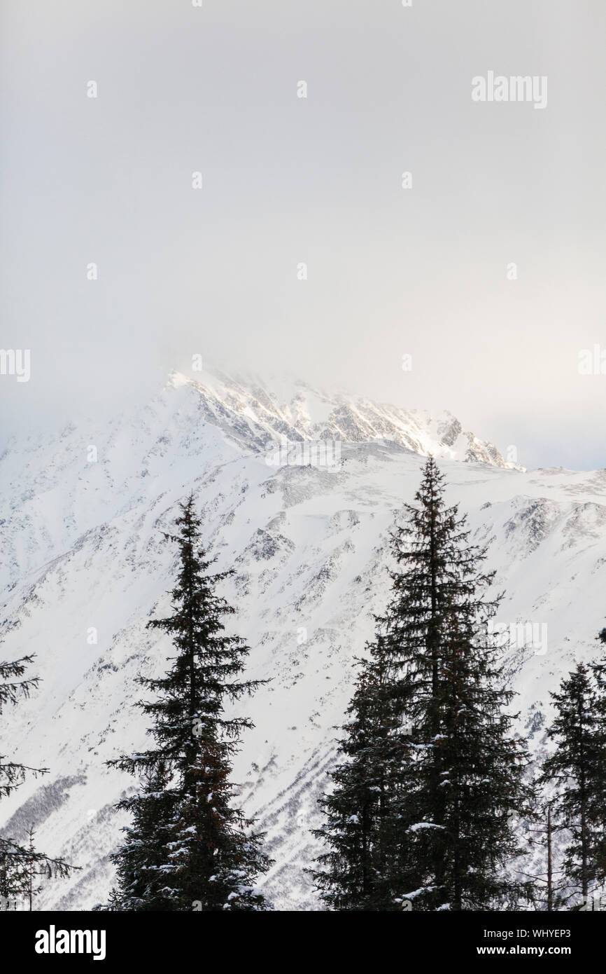Inverno in Alaska Foto Stock
