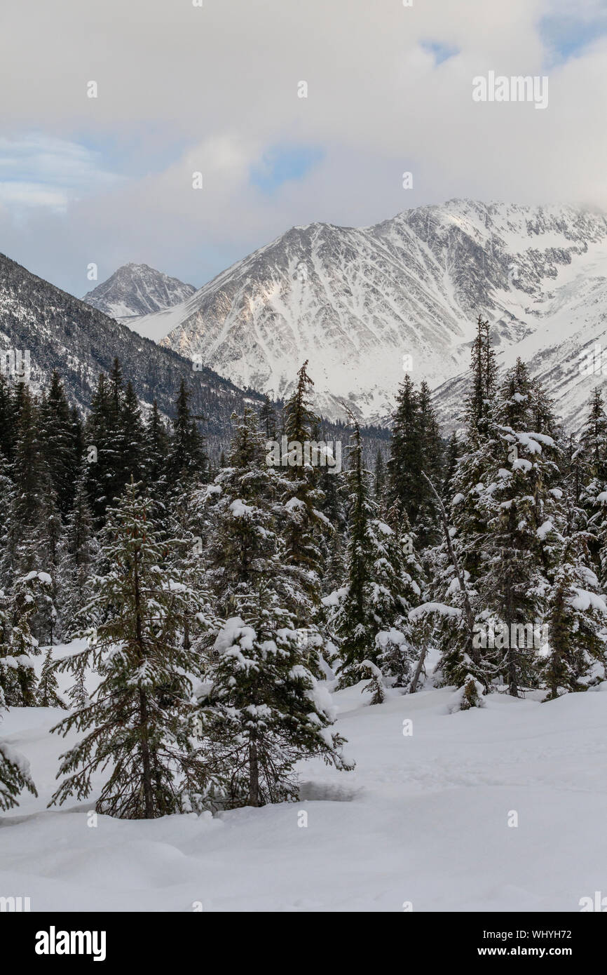 Inverno in Alaska Foto Stock