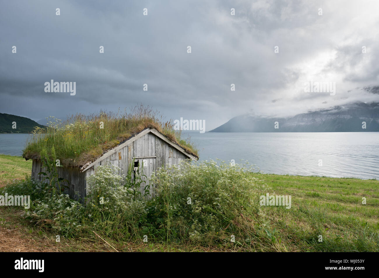 Il vecchio fienile casa sul campo verde a un fiordo norvegese, sotto l'impressionante cielo nuvoloso, Lyngen, Norvegia Foto Stock