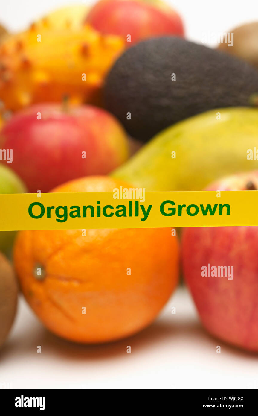 Produzione biologica di frutta Foto Stock