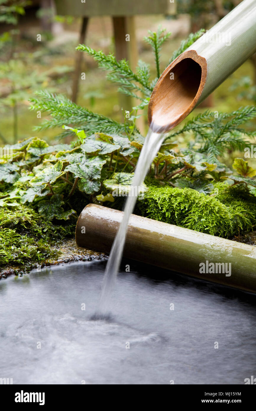 Acqua che fluisce dal tubo di bambù Foto Stock